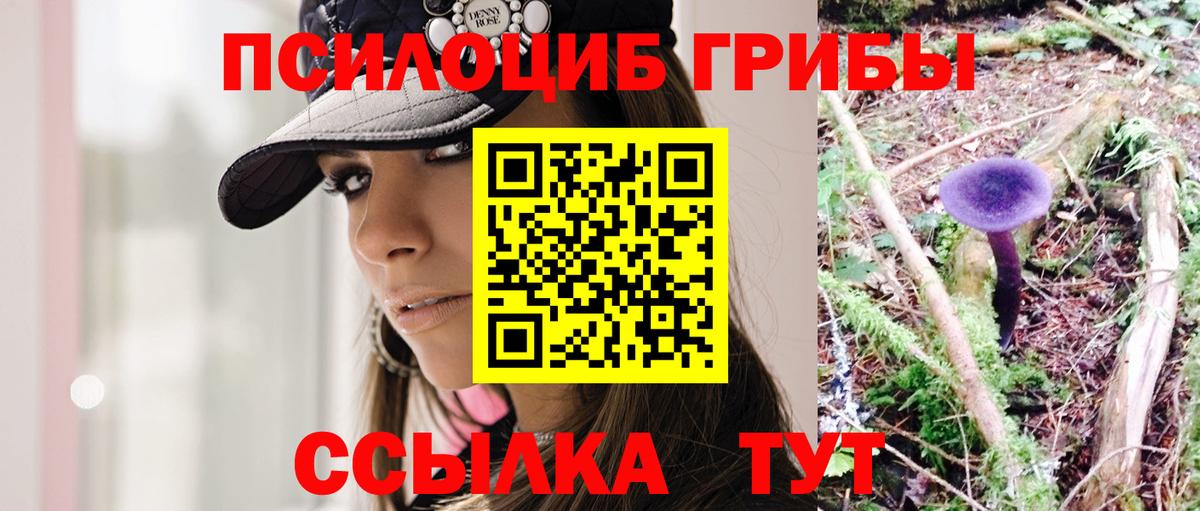 Партизанск  Галлюциногенные грибы мицелий  как найти наркотики  Вход с VPN 