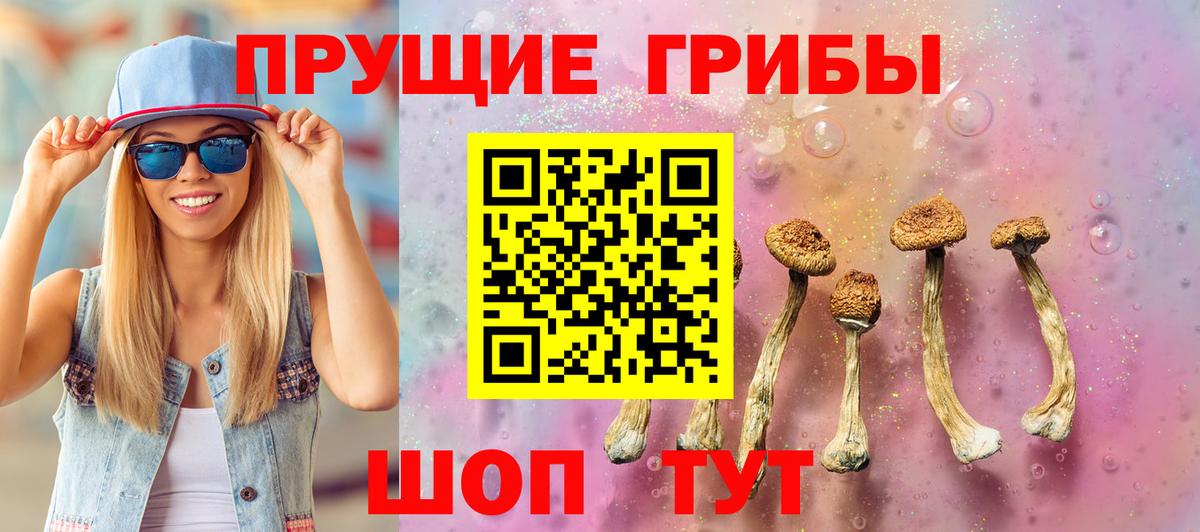 Галлюциногенные грибы мухоморы Партизанск